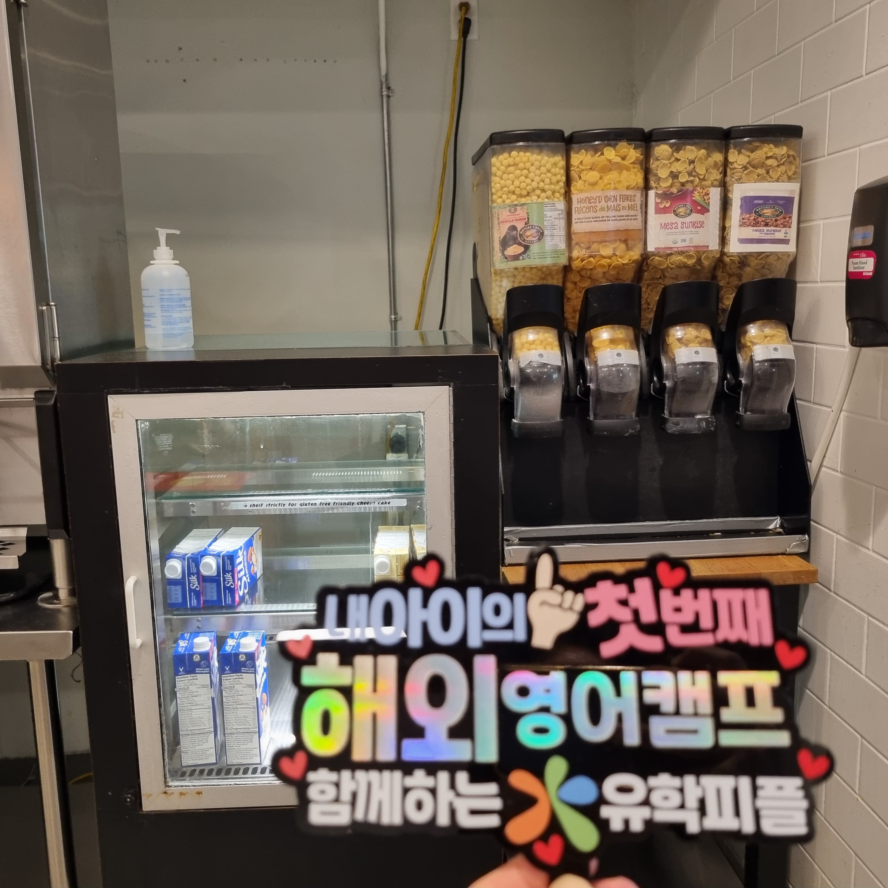 캠프 활동 사진